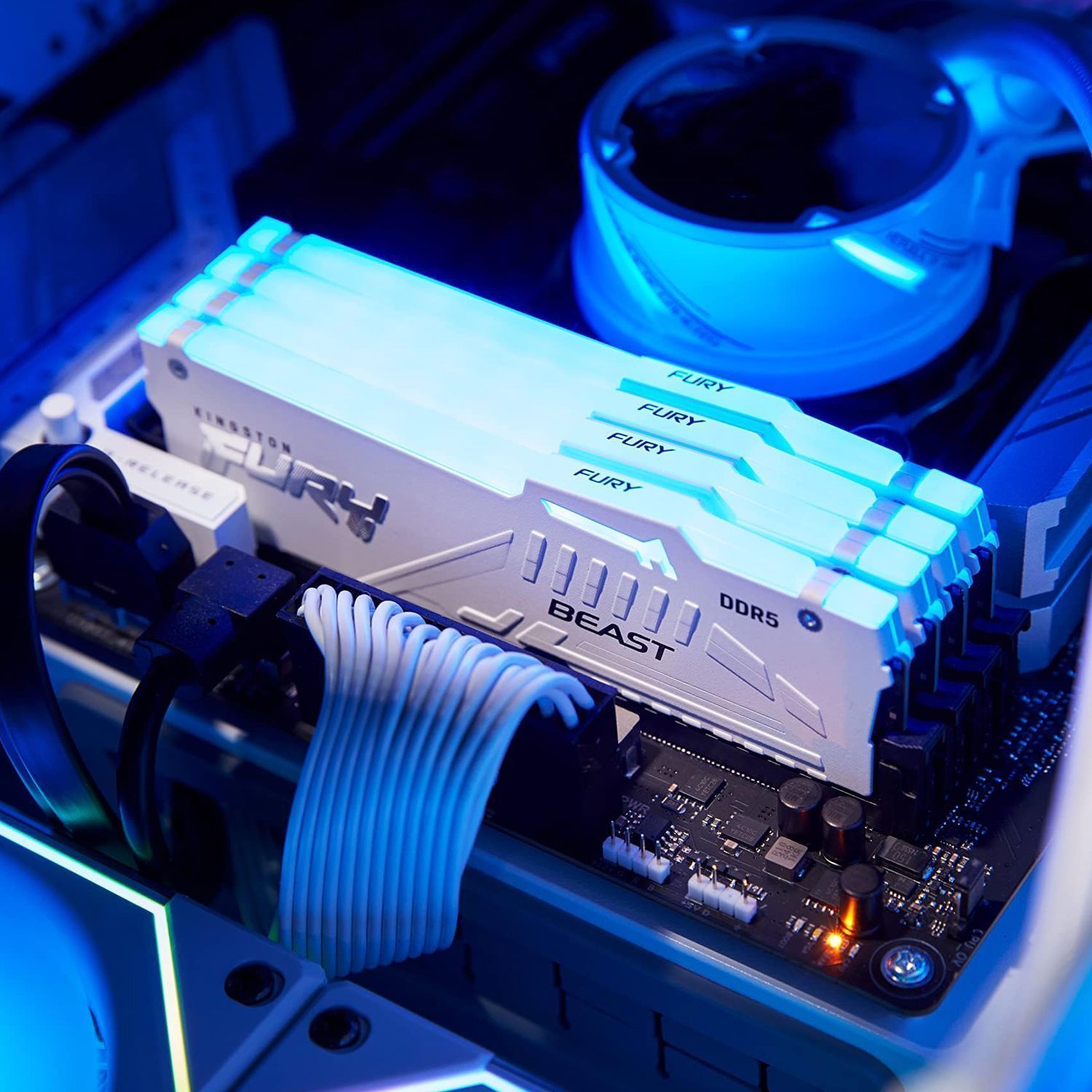 Память оперативная Kingston FURY Beast KF556C36BWEA-16