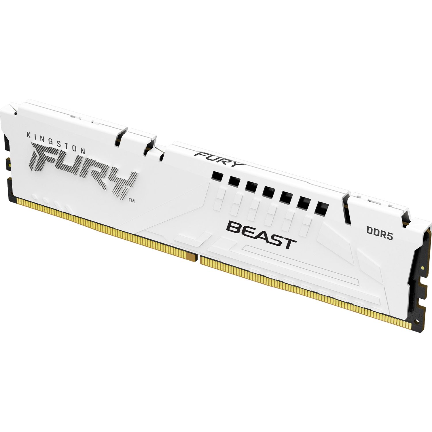 Память оперативная Kingston FURY Beast KF560C36BWE-32