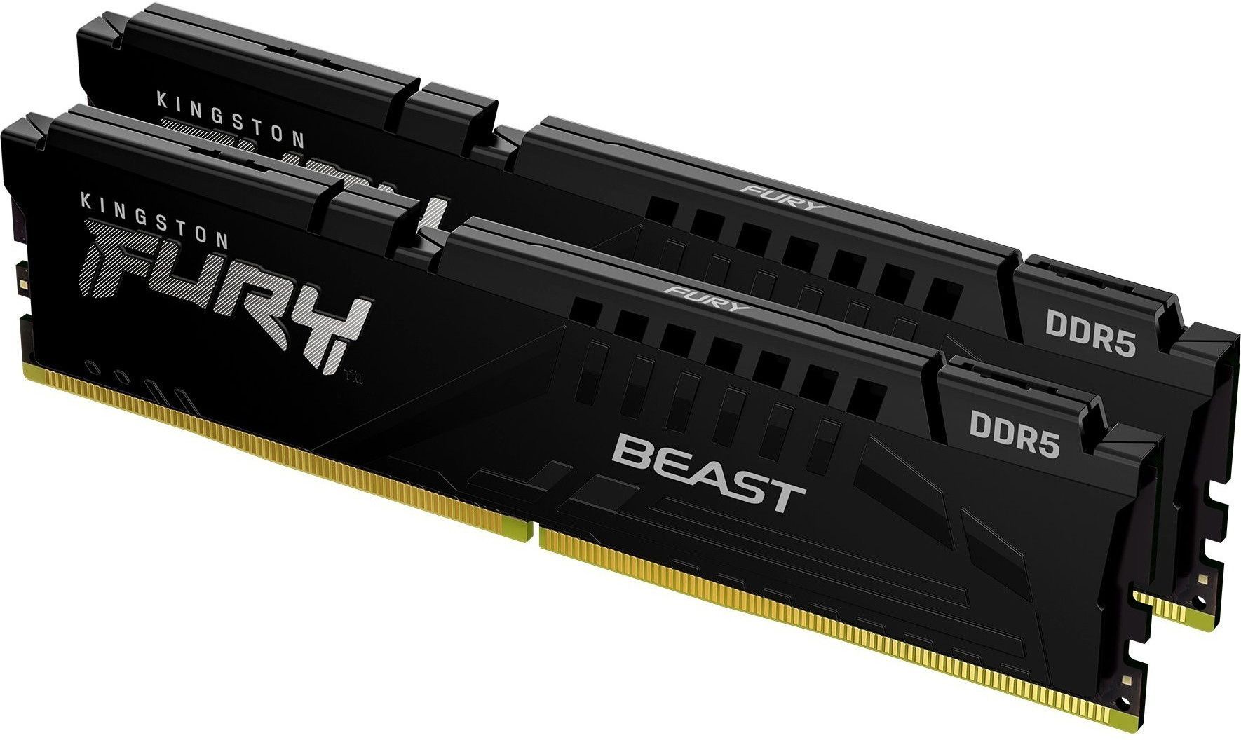 Память оперативная Kingston FURY Beast Black EXPO Kit of 2